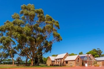 Chapell Hill Winery on your mclaren vale wine tour