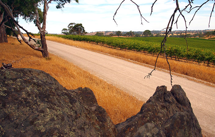 region-barossa-main-3